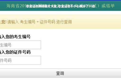 毕业证书撕碎图片大全,毕业证书不小心撕坏了一边