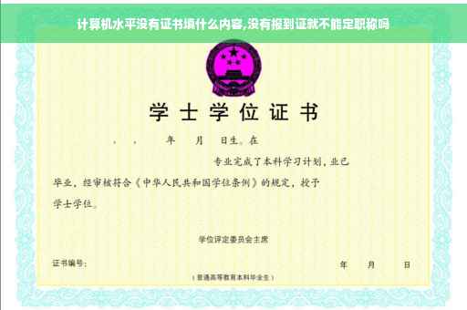 计算机水平没有证书填什么内容,没有报到证就不能定职称吗