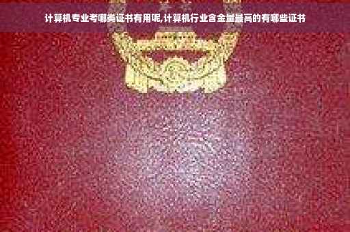 计算机专业考哪类证书有用呢,计算机行业含金量最高的有哪些证书