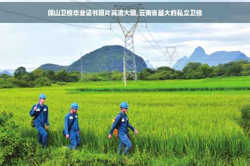 保山卫校毕业证书图片高清大图,云南省最大的私立卫校