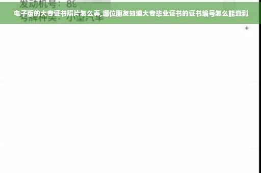 电子版的大专证书照片怎么弄,哪位朋友知道大专毕业证书的证书编号怎么能查到