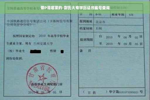 豫P是哪里的-尉氏大专学历证书编号查询