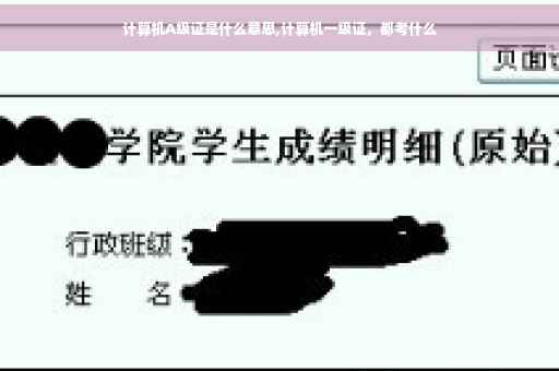 计算机A级证是什么意思,计算机一级证，都考什么