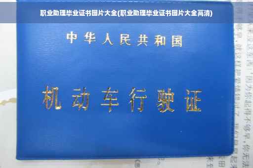 职业助理毕业证书图片大全(职业助理毕业证书图片大全高清)