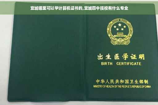 宜城哪里可以学计算机证书的,宜城四中技校有什么专业