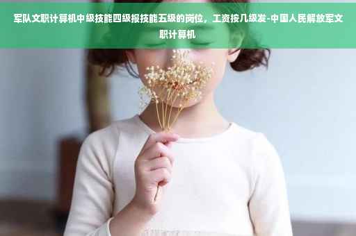 军队文职计算机中级技能四级报技能五级的岗位，工资按几级发-中国人民解放军文职计算机