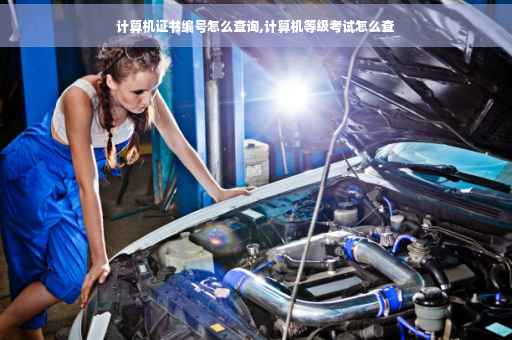 计算机证书编号怎么查询,计算机等级考试怎么查