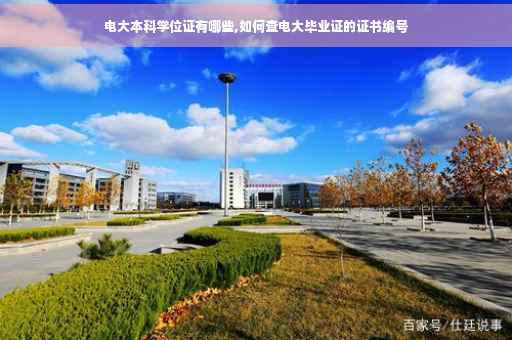 电大本科学位证有哪些,如何查电大毕业证的证书编号