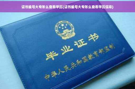 证书编号大专怎么查看学历(证书编号大专怎么查看学历信息)