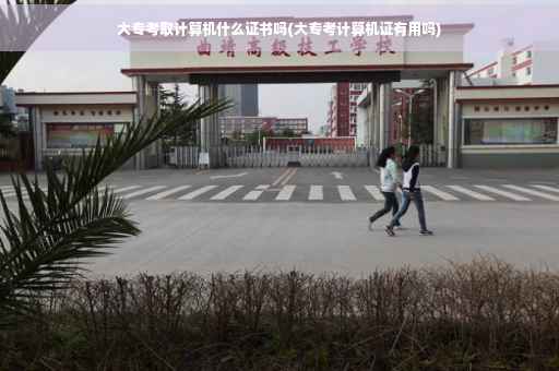 大专考取计算机什么证书吗(大专考计算机证有用吗)
