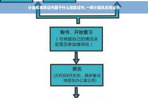 计算机等级证书属于什么技能证书,一级计算机应用证书