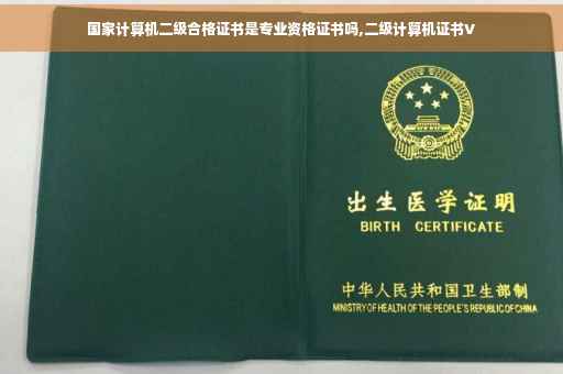 国家计算机二级合格证书是专业资格证书吗,二级计算机证书V