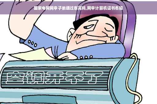 国家电网网申子弟通过率高吗,网申计算机证书名称
