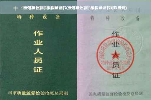 去哪里计算机编程证证书(去哪里计算机编程证证书可以查到)