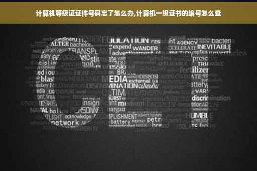 计算机等级证证件号码忘了怎么办,计算机一级证书的编号怎么查