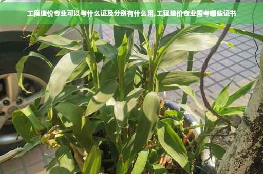 工程造价专业可以考什么证及分别有什么用,工程造价专业需考哪些证书