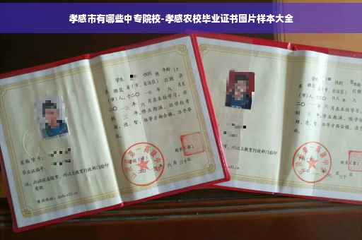 孝感市有哪些中专院校-孝感农校毕业证书图片样本大全