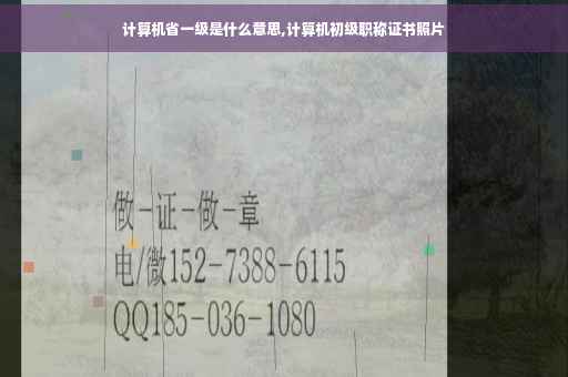 计算机省一级是什么意思,计算机初级职称证书照片 计算机省一级是什么意思,计算机初级职称证书照片