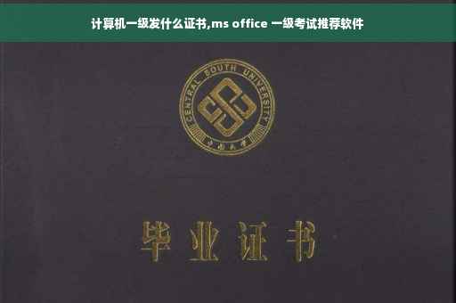 计算机一级发什么证书,ms office 一级考试推荐软件