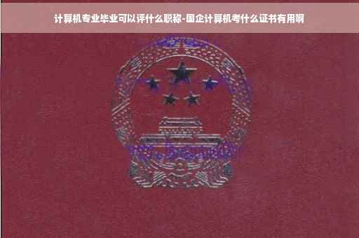 计算机专业毕业可以评什么职称-国企计算机考什么证书有用啊