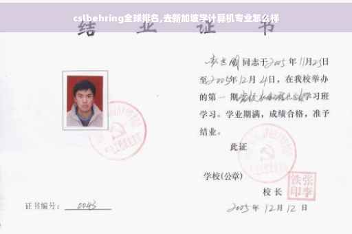 cslbehring全球排名,去新加坡学计算机专业怎么样