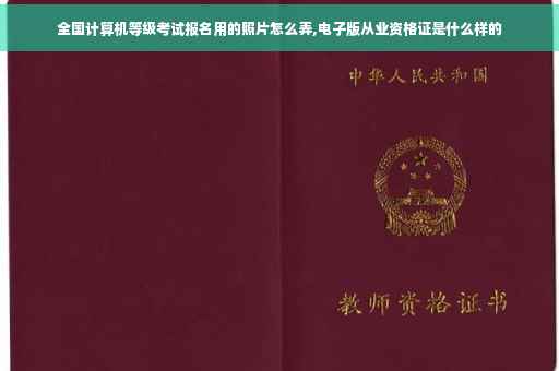 全国计算机等级考试报名用的照片怎么弄,电子版从业资格证是什么样的
