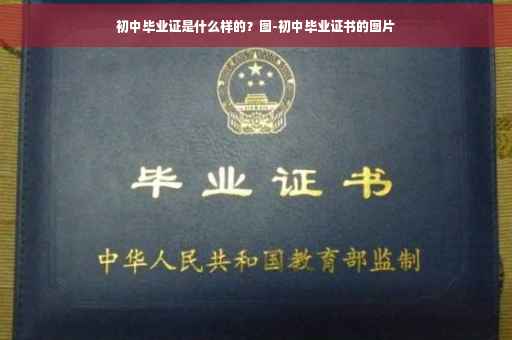 初中毕业证是什么样的？图-初中毕业证书的图片