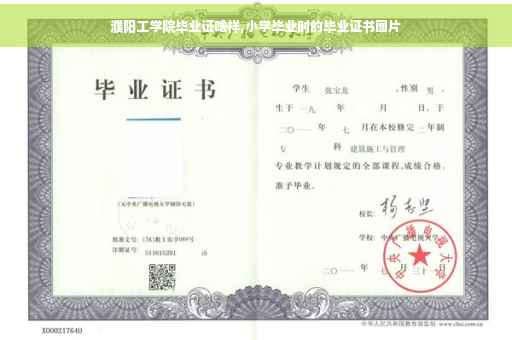 濮阳工学院毕业证啥样,小学毕业时的毕业证书图片