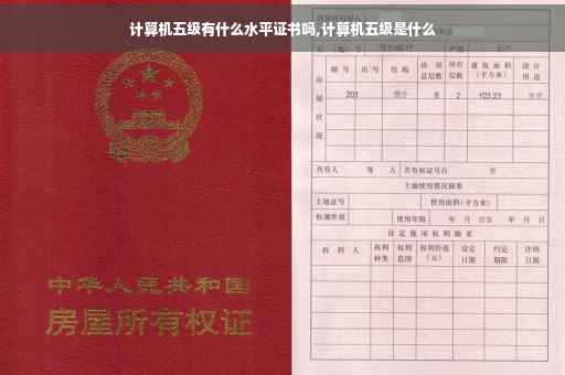 计算机五级有什么水平证书吗,计算机五级是什么