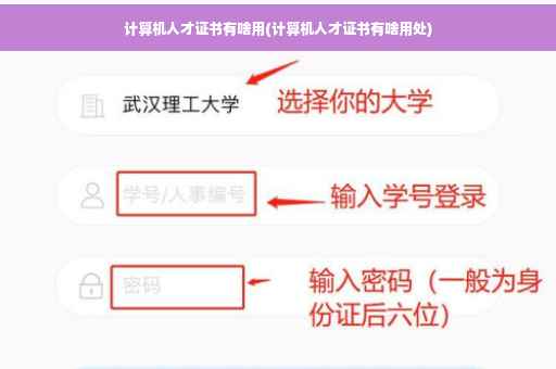 计算机人才证书有啥用(计算机人才证书有啥用处)