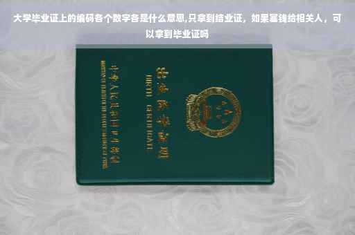 大学毕业证上的编码各个数字各是什么意思,只拿到结业证，如果塞钱给相关人，可以拿到毕业证吗