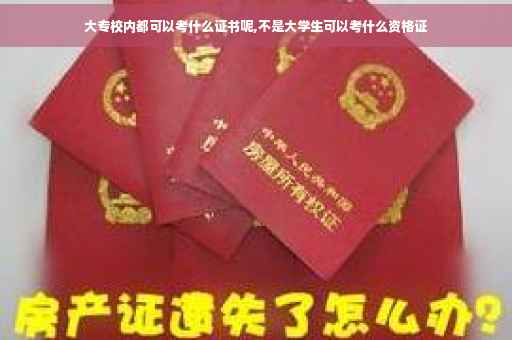大专校内都可以考什么证书呢,不是大学生可以考什么资格证