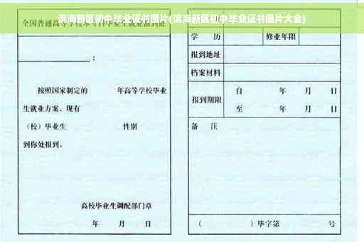 滨海新区初中毕业证书图片(滨海新区初中毕业证书图片大全) 滨海新区初中毕业证书图片(滨海新区初中毕业证书图片大全)