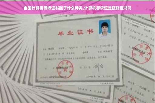 全国计算机等级证书属于什么种类,计算机等级证是技能证书吗