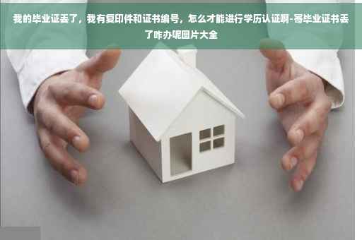 我的毕业证丢了，我有复印件和证书编号，怎么才能进行学历认证啊-寄毕业证书丢了咋办呢图片大全