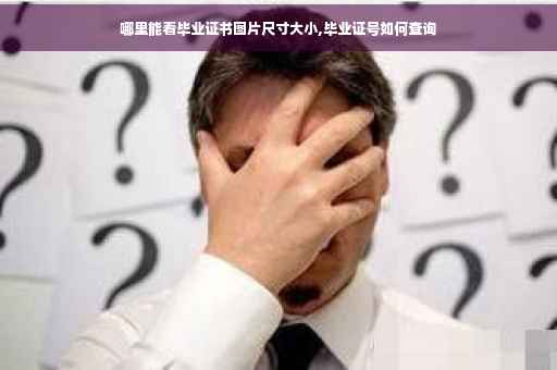 哪里能看毕业证书图片尺寸大小,毕业证号如何查询