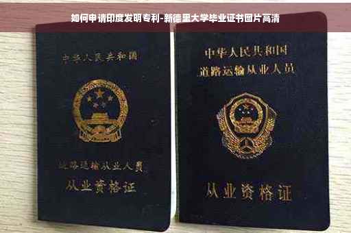 如何申请印度发明专利-新德里大学毕业证书图片高清