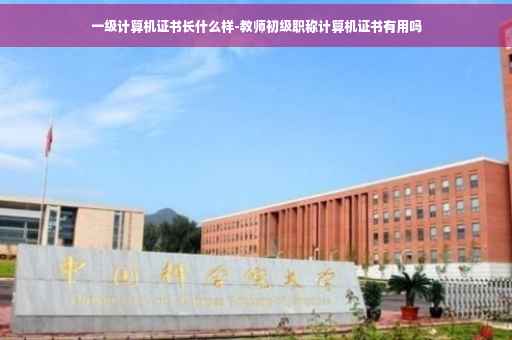 一级计算机证书长什么样-教师初级职称计算机证书有用吗