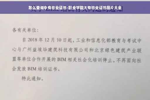 怎么查询中专毕业证书-职业学院大专毕业证书图片大全
