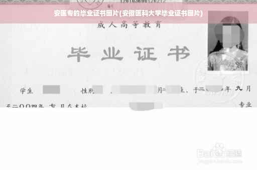 安医专的毕业证书图片(安徽医科大学毕业证书图片)