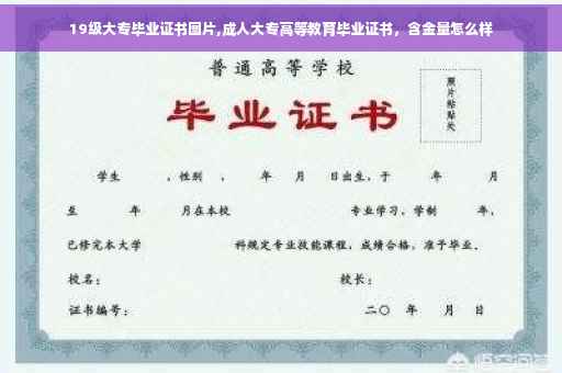 19级大专毕业证书图片,成人大专高等教育毕业证书，含金量怎么样