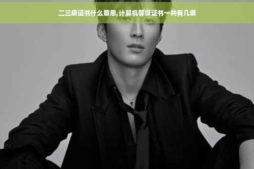 二三级证书什么意思,计算机等级证书一共有几级