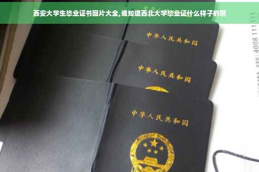 西安大学生毕业证书图片大全,谁知道西北大学毕业证什么样子的啊