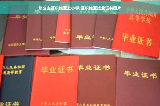 怎么去塞尔维亚上小学,塞尔维亚毕业证书图片
