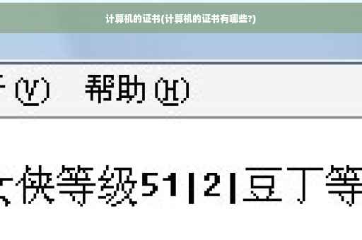 计算机的证书(计算机的证书有哪些?)