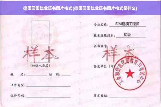 德国回国毕业证书图片格式(德国回国毕业证书图片格式是什么)