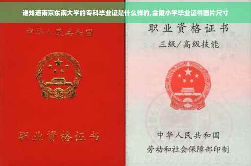 谁知道南京东南大学的专科毕业证是什么样的,金陵小学毕业证书图片尺寸