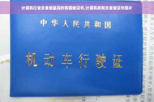 计算机行业含金量最高的有哪些证书,计算机类有含金量证书图片