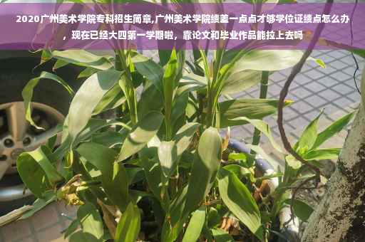 2020广州美术学院专科招生简章,广州美术学院绩差一点点才够学位证绩点怎么办，现在已经大四第一学期啦，靠论文和毕业作品能拉上去吗