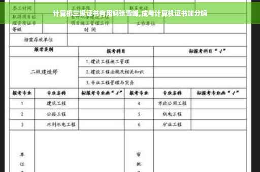 计算机三级证书有用吗张雪峰,成考计算机证书加分吗